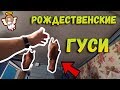 🚌Отправили гусей // Как готовили? // Рождественские гуси