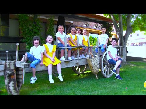 ,,ნახევარქათამა\" - სტუდია ,,ლურჯა ცხენები\