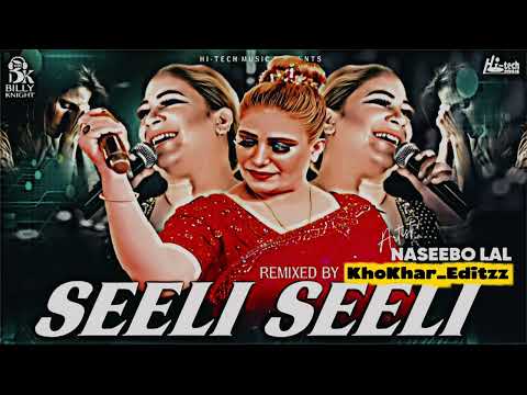 Sille Sille Nain Song Naseebo LaL New Song 2025 New Punjabi Song