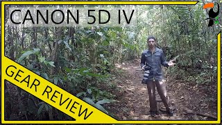 Equipment - 5D Mark IV Review