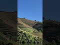 ✨ “Golden hills, winding waters, and timeless beauty — the Douro River is pure magic. 🌊🍇
