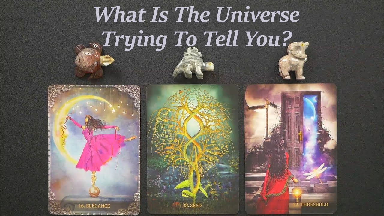 What Is The Universe Trying To Tell You? ~Timeless pick a card tarot reading!
