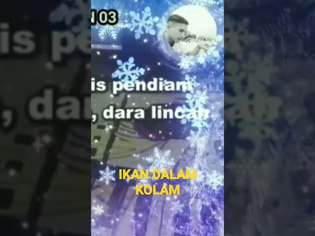 Ikan dalam kolam wahyudin 03 class=