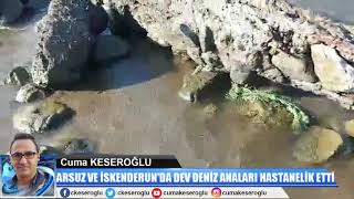 Deni̇z Anasi Hastaneli̇k Etti̇