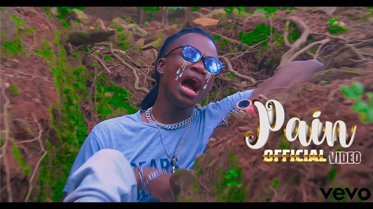 BLAZOR BRIGHT  - PAIN  ( Official Music Video ) 