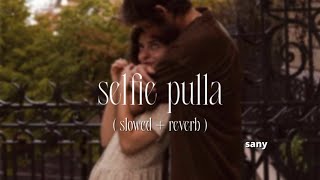 selfie pulla - (slowed and reverb) | sany