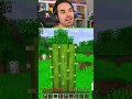 ESPERIMENTI DI MINECRAFT - VERO O FALSO ?