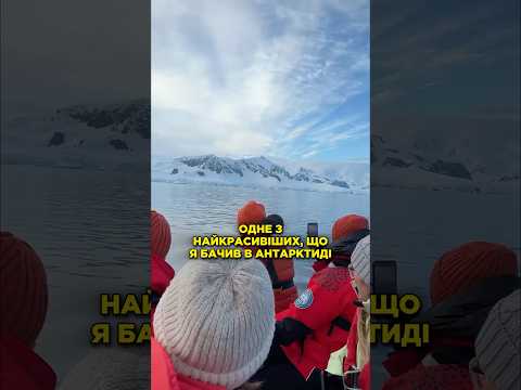 Так близько китів я ще ніколи не бачив