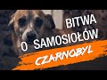 Czarnobyl, Bitwa o Samosiołów V-LOG odc.26