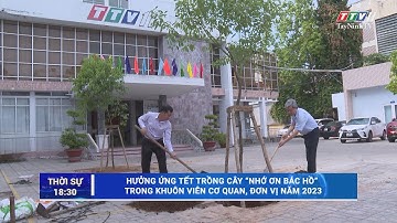 Hưởng ứng phong trào trồng cây “Đời đời nhớ ơn Bác Hồ” năm 2023 | TayNinhTV