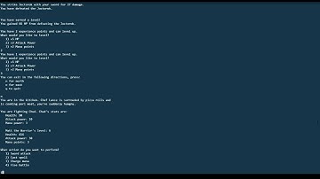 Text based adventure dungeon crawler