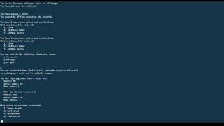 Text based adventure dungeon crawler