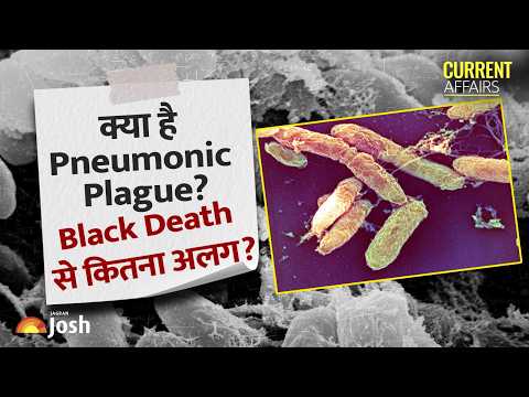 Pneumonic Plague Outbreak 2026? Russia में महिला की रहस्यमयी मौत: क्या फैला Pneumonic Plague?