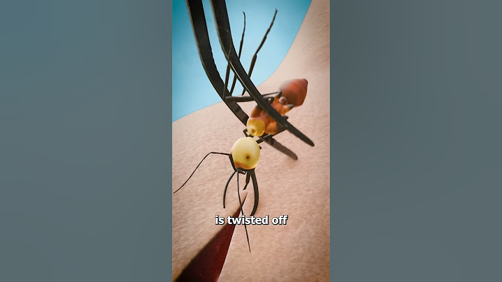 Using Ants To Stitch Wounds 🐜