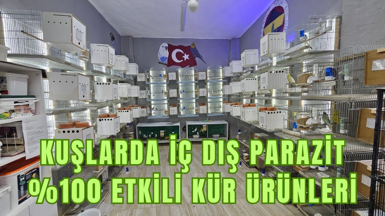 KUŞLARDA İÇ VE DIŞ PARAZİT UYGULAMASI🪽💊
