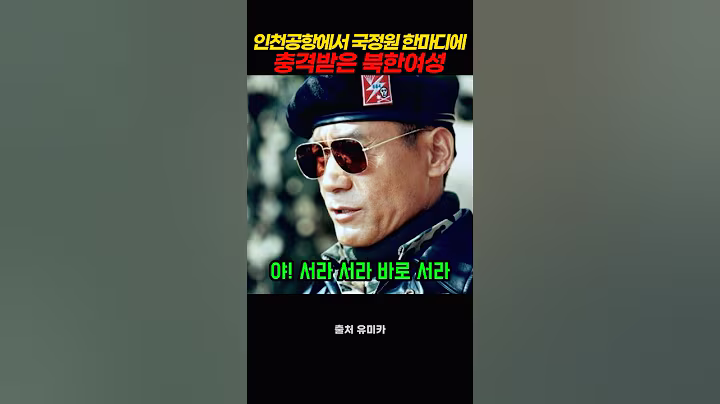 인천공항에서 국정원 직원 한마디에 충격 받은 북한 여성