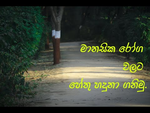 Reasons for Mental Illness - මානසික රෝග වලට හේතු හඳුනා ගනිමු.