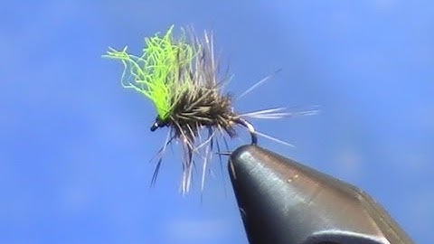 Fly Tying: Griffith