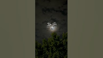 قُلِ الْحَمْدُ لِلَّهِ🤲 || الشيخ ياسر الدوسري ||سورة النمل.