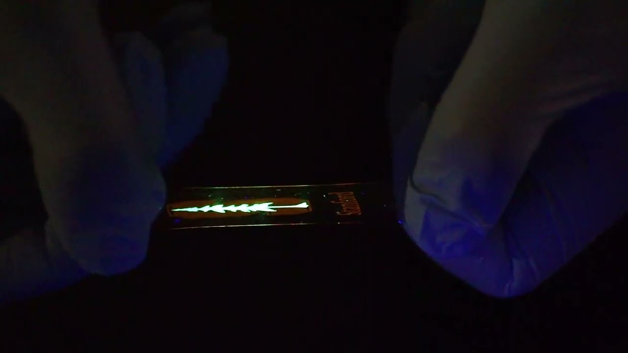 YouTube player