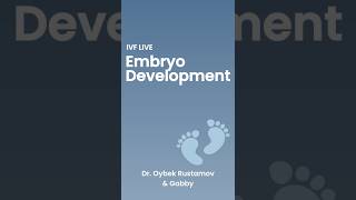 Embryo Development