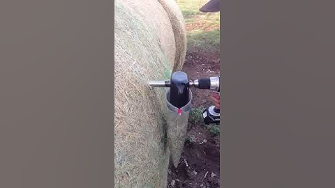 IMG 3702 MOVPROCESS OF TAKING HAY OR FORAGE SAMPLES