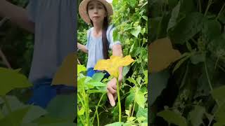 Enjoy beautiful nature with rural life happy life#418 #video #short# video#