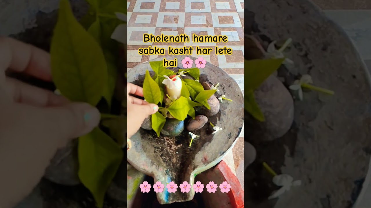 bhole nath sabka kasht har lete hai 🌸🌸🙏🙏🙏
