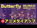 祝️アニメタイアップINUWASI&ldquo;Butterfly&rdquo;狗鷲昊閃ファイナルVer