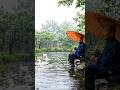 Relaxing Rural Life During Soft Rain ☔🌧️#rain #villagelife #relaxing