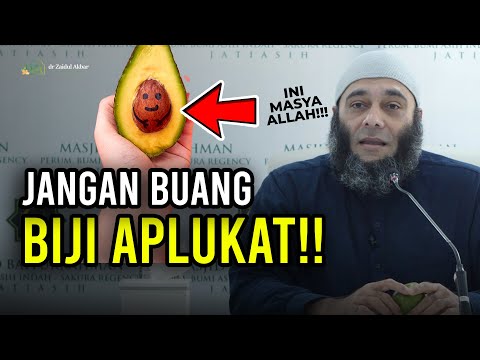 Manfaat Dari Biji Alpukat