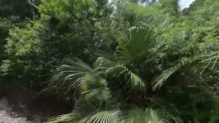 Walt Disney World Railroad Frontierland to Fantasyland VR180