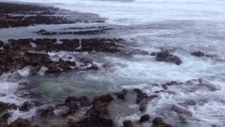 Download Lagu #Moodvid If-Elsa Kopf MP3