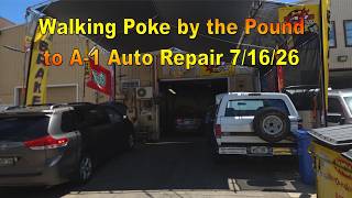 Walking Poke By The Pound To A-1 Auto Repair 7/16/26 in Honolulu, Oahu, Hawaii