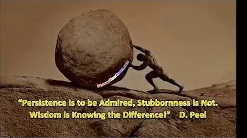 Are You Stubborn or Persistent?