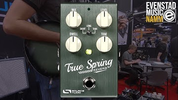 NAMM 2019 | Source Audio True Spring Reverb