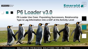 P6-Loader Use Case #5: How to Easily Create & Populate User Defined Fields in Primavera P6