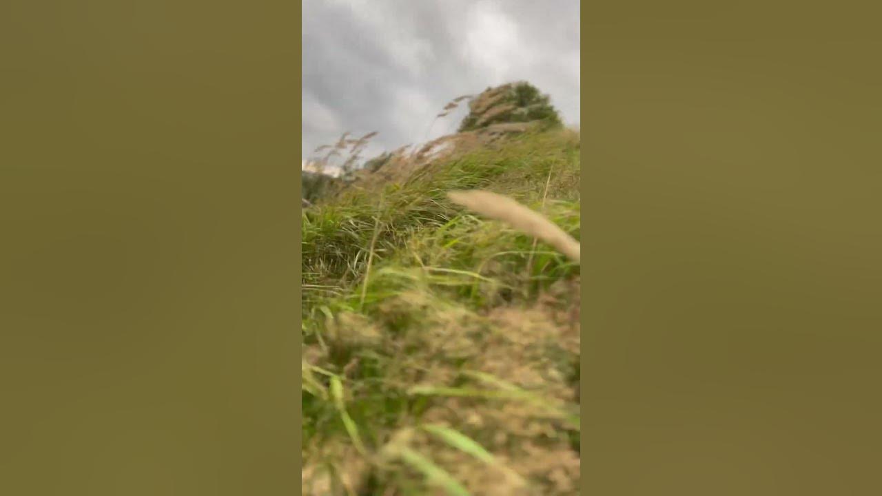 Ветренно - YouTube