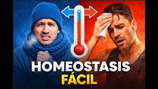 ¿Qué es la Homeostasis  Explicado fácil