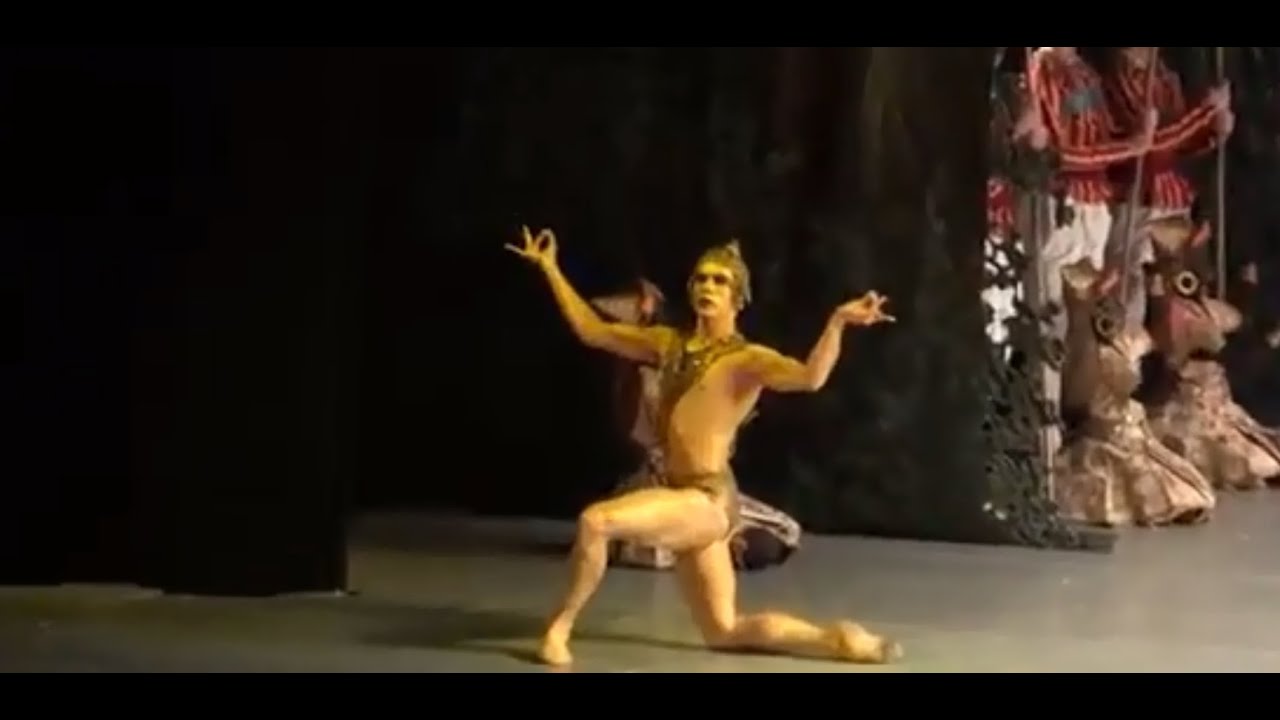 黄金の像の踊り「ラ・バヤデール」ノヴィコワ＆シクリャロフ、マリインスキー劇場 Golden Idol 