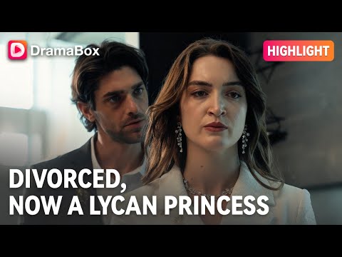 Cast Aside by Alpha Husband + Hiding Pregnancy—She’s the Lost Lycan… poster