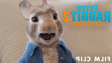 PETER RABBIT 2: THE RUNAWAY Clip – My Voice Isn’t Annoying... IN REVERSE!