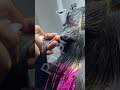 liceinfestation968 #headliceremoval #licecomb #headlice #headlicetreatment #hairlice #haircare #hair