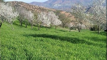 تلاوة عطرة من سورة النبأ