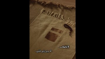 سورة التَّوبة، المنشاوي. #المنشاوي #قرآن #ترند #اكسبلور #محتوى_ديني