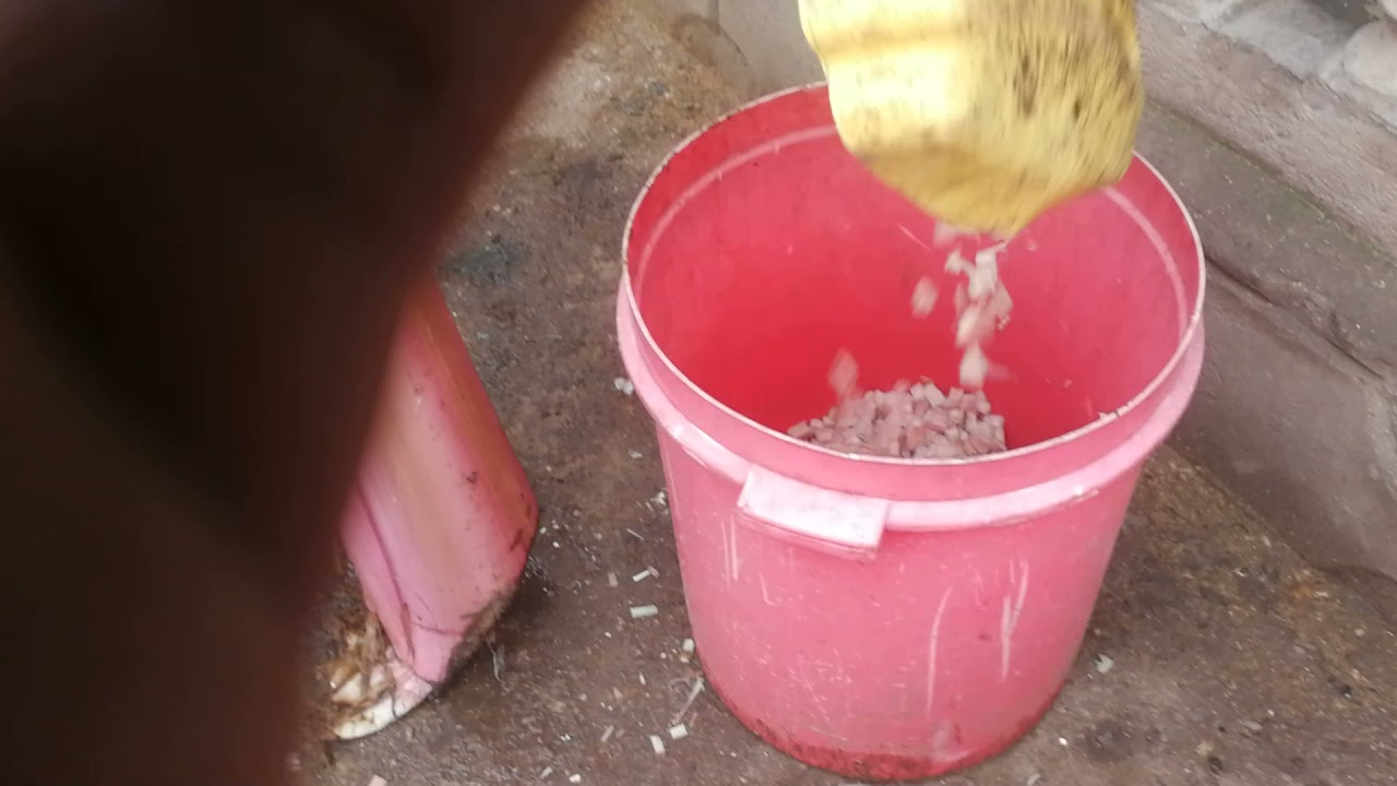 uko wakwikorera ibiryo byimbata inkoko naa ddendo