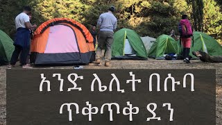 Ethiopia: @SebezMedia Menagesha Suba Park አንድ ቀንና ሌሊት በሱባ ፓርክ |Addis Hiking|