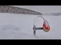 ОСТАВИЛ ЖЕРЛИЦЫ СССР БЕЗ ПРИСМОТРА! БЕШЕННЫЙ ЖОР! Рыбалка в Якутии, первый лёд