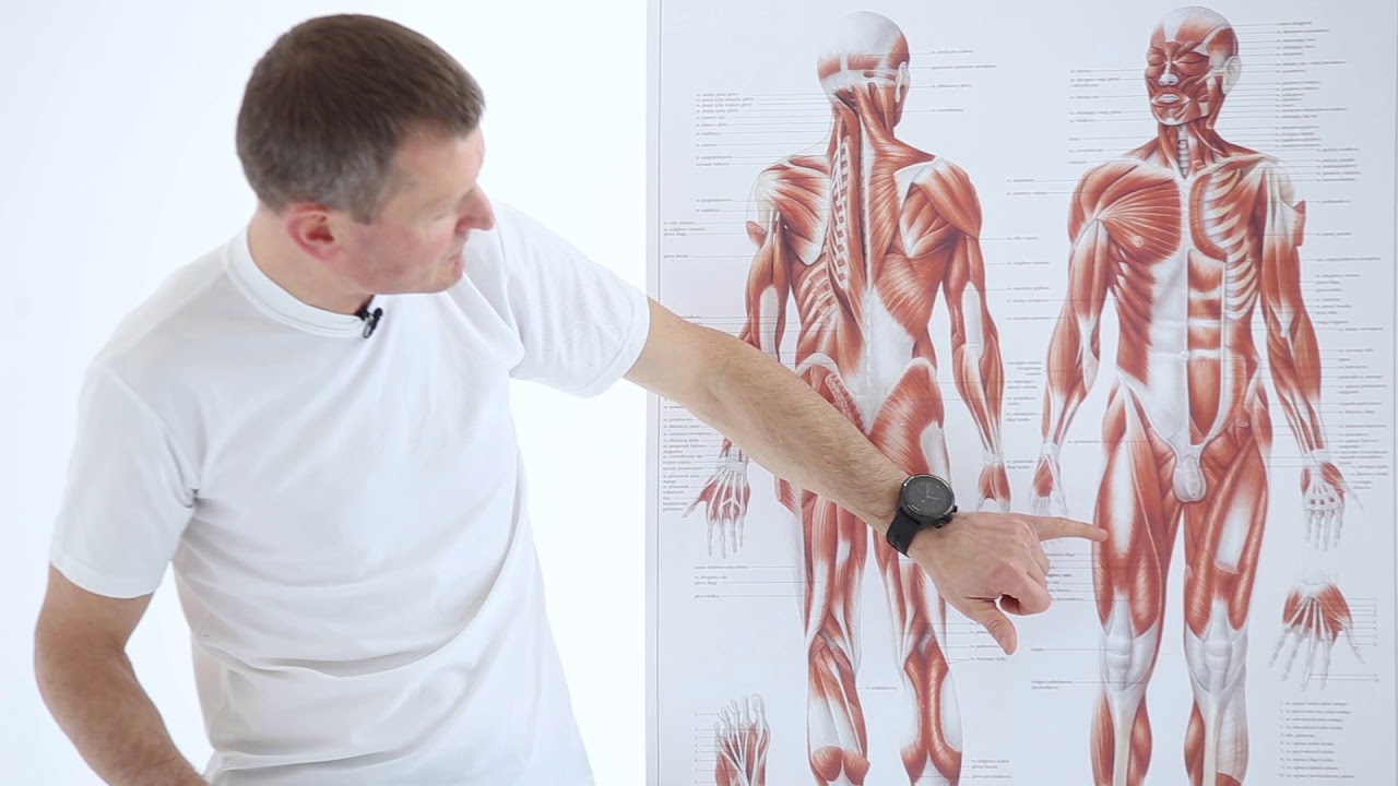 5. Mięsień czworogłowy oraz mobilizacja rzepki i troczków przy konflikcie rzepkowo-udowym