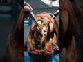 How to Clean Your Pet's Teeth at Home: Easy &amp; Effective Tips